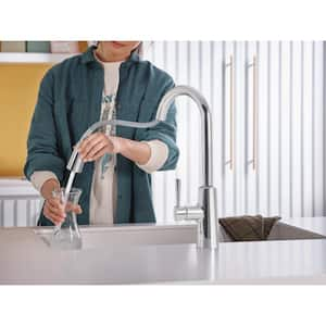 Riley Single Handle Pull-Down Sprayer Kitchen Faucet with Reflex and Power Clean in Chrome