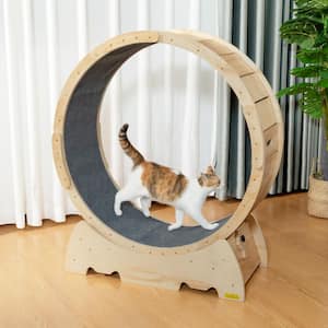 Large Cat Exercise Wheel, Treadmill