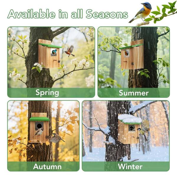 N/A Cedar Wooden Bird Houses with Metal Predator Guard Outdoor