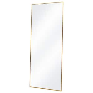 XRAMFY 50 in. H x 16 in. W Modern Rectangular Gold Aluminum Alloy