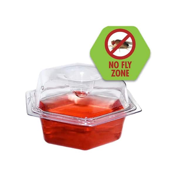 2x Reusable Fruit Fly Traps Indoor Fly Trap for Home Kitchen Bottle Gnat  Traps 