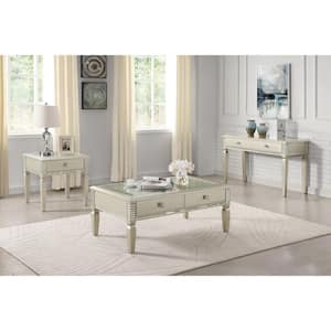 Starra 48 in. Silver Rectangle Glass Top Console Table