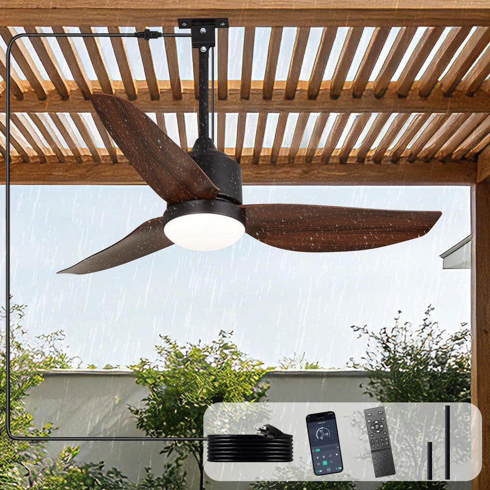 dovanpaul-ceiling-fans-with-