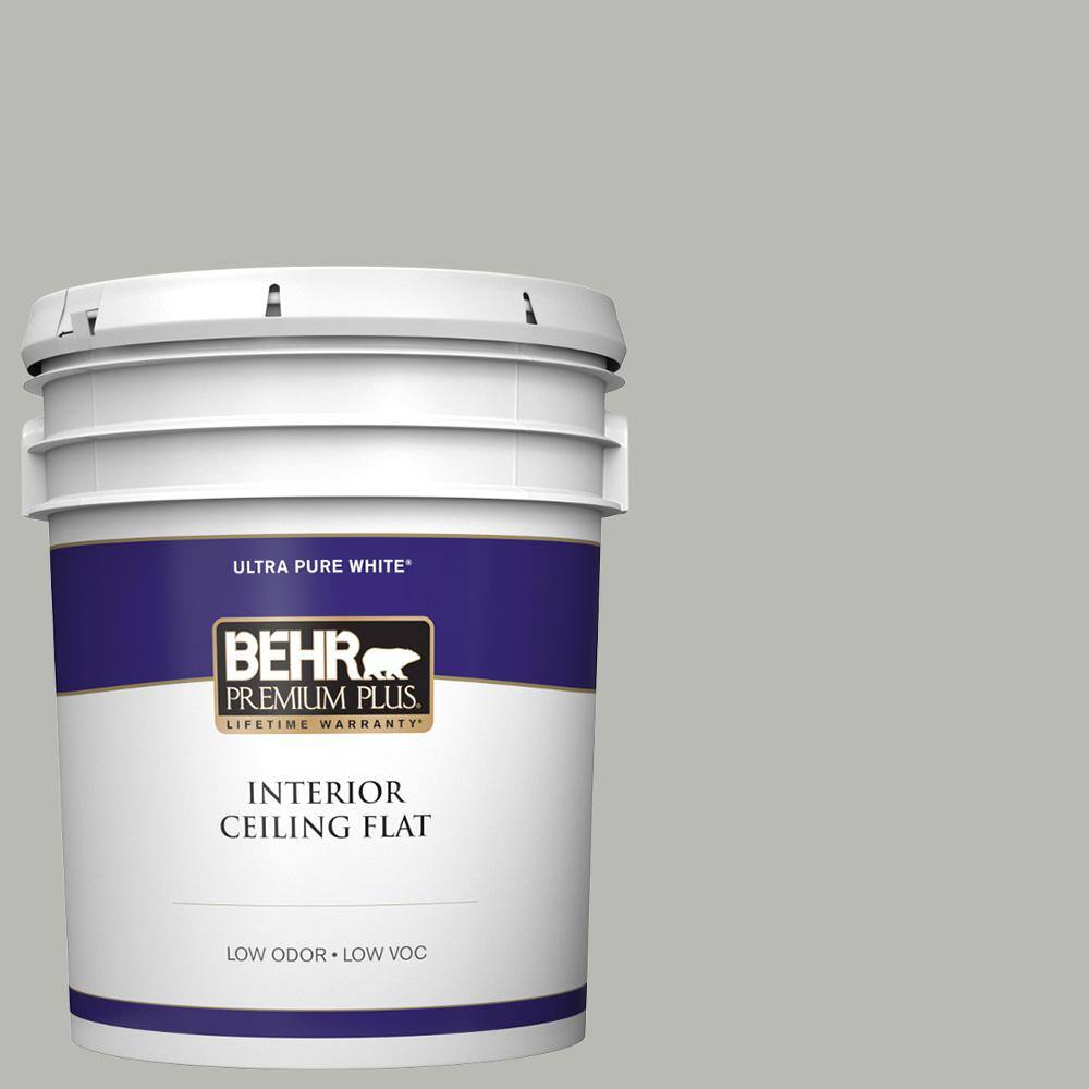 Behr Premium Plus Gal Ppu Classic Silver Ceiling Flat Interior