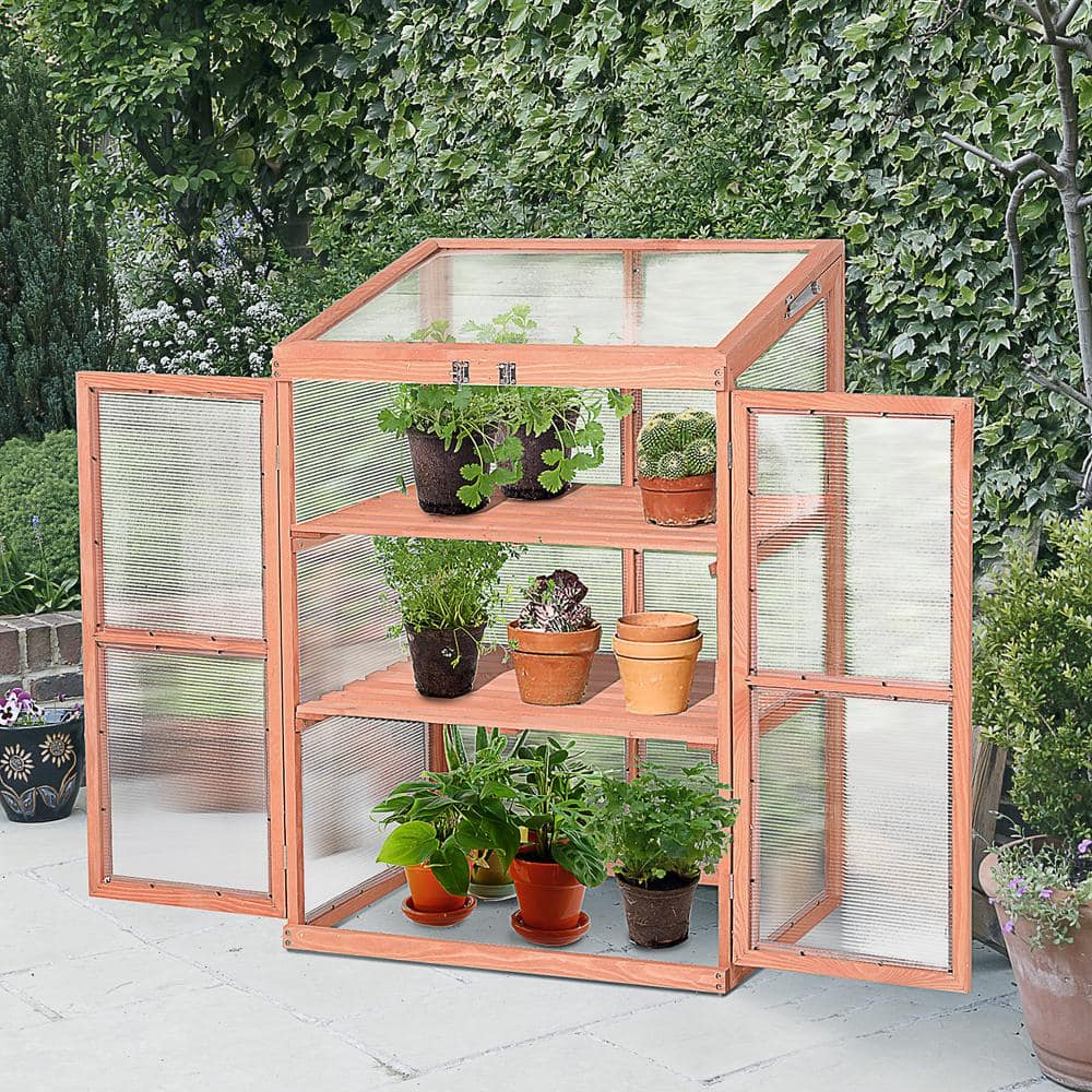 Natural Wood Mini Greenhouse with Adjustable Shelves and Transparent Panels