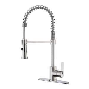 Euro Spring Spout Single-Handle Pull-Down Sprayer Kitchen Faucet w/Accessories Rust and Spot Resist in Brushed Nickel