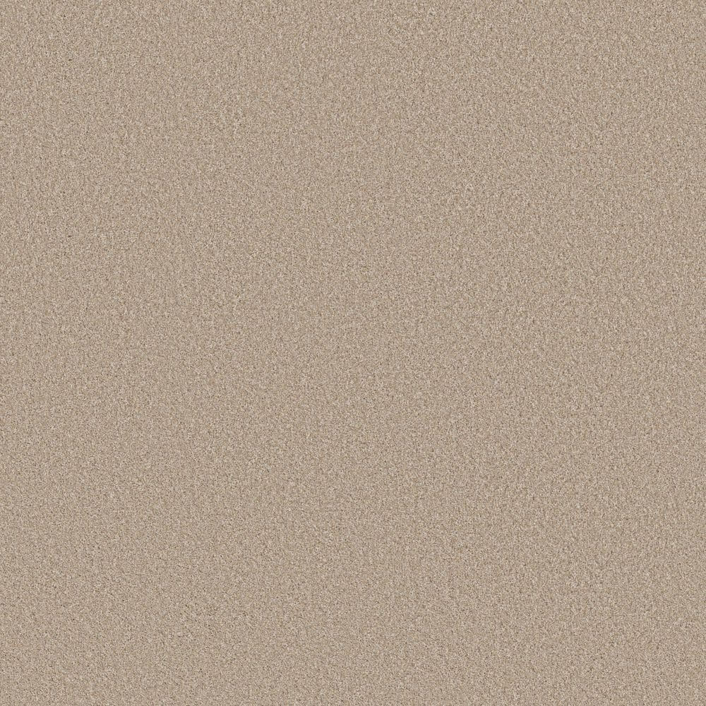 8 in. x 8 in. Texture Carpet Sample - Snug Sweets II - Color Cream Suede price history on PriceWatchPro