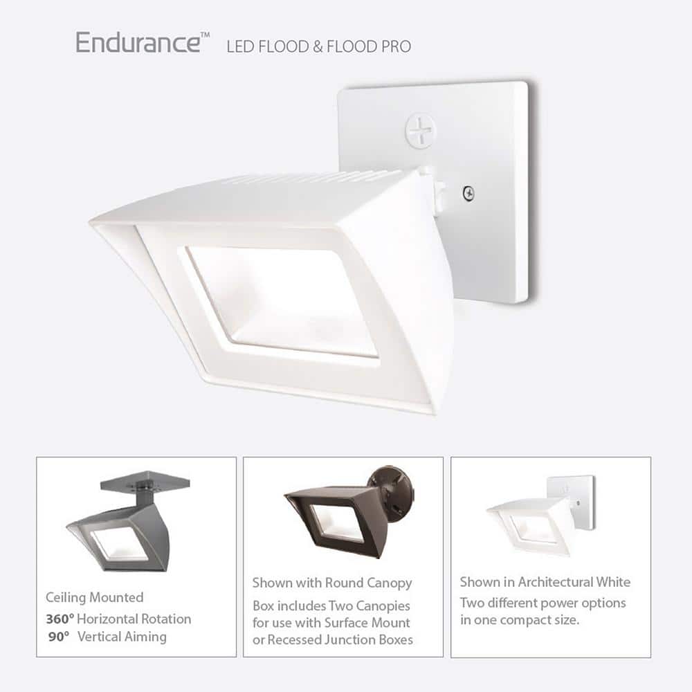 Graphite Aluminum LED Flood Light with White Glass Diffuser