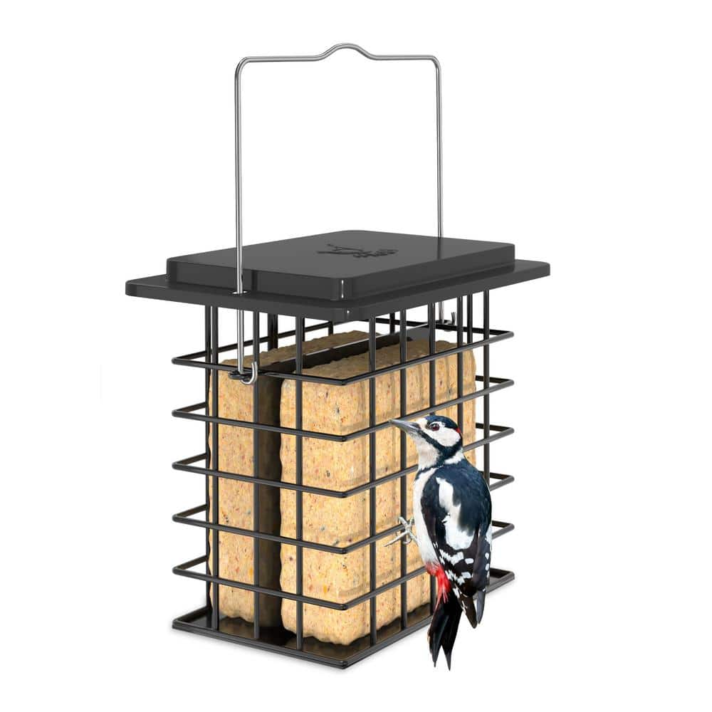 Hanging Suet Bird Feeder with Taller Grid for Woodpecker (1-Pack)
