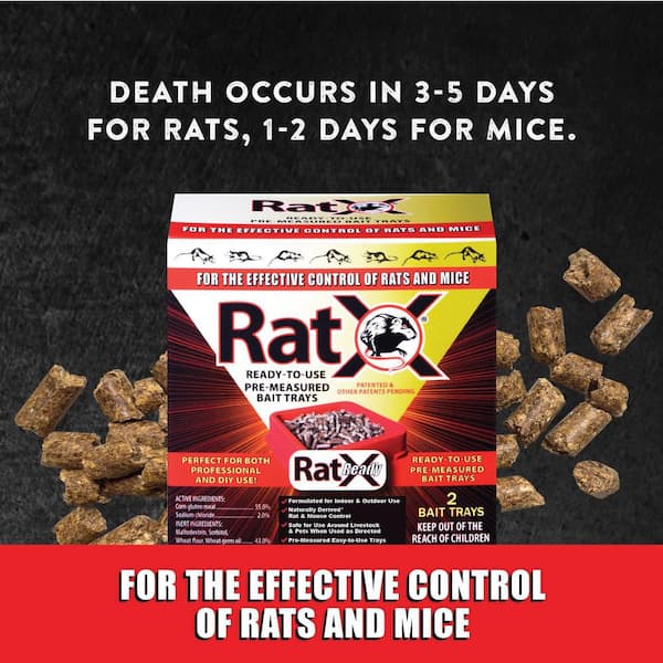RatX Ready-To-Use Pre-Measured Rat Bait Trays (4-Count)