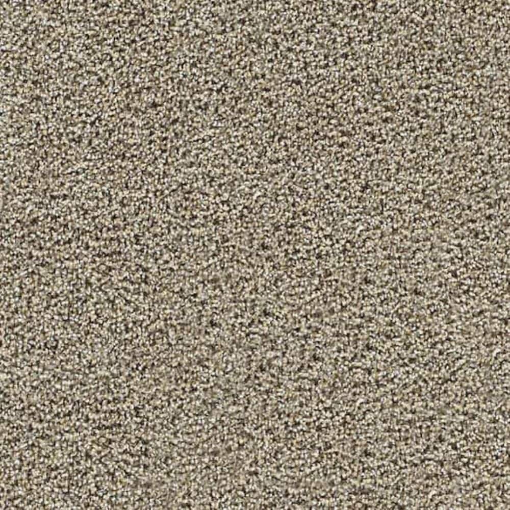 8 in. x 8 in. Texture Carpet Sample-Friendship Fables-Color Two Hearts price history on PriceWatchPro