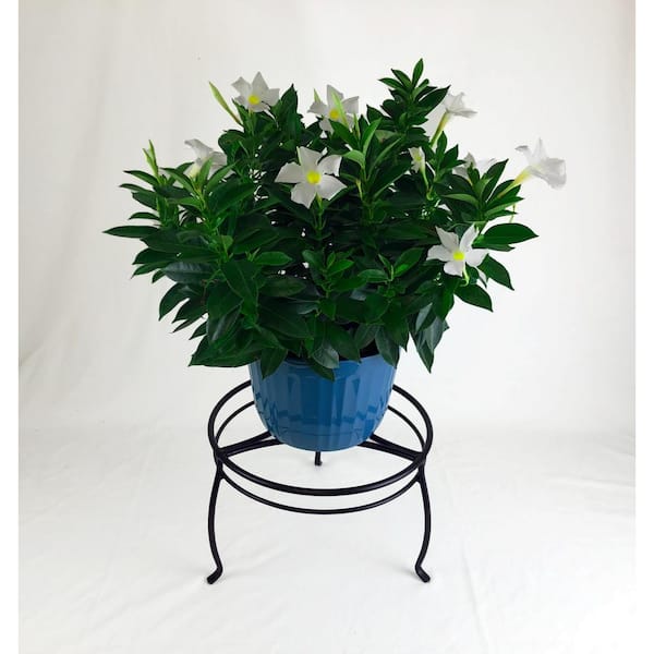 Black Metal Indoor Plant Stand (12 in. L x 12 in. W x 8 in. H)