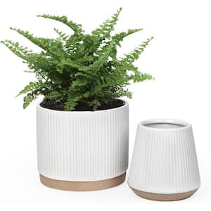 Modern 6 in. L x 6 in. W x 6 in. H White Vertical Stripes Ceramic Round Indoor Planter (3-Pack)