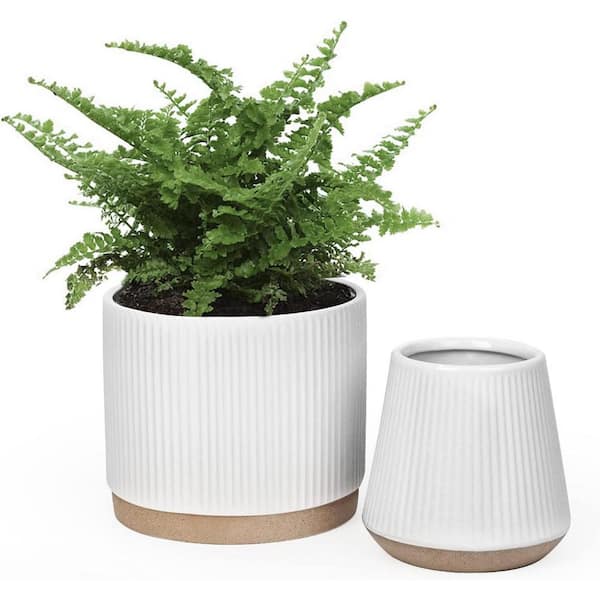 ITOPFOX Modern 6 in. L x 6 in. W x 6 in. H White Vertical Stripes Ceramic Round Indoor Planter (3-Pack)