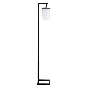68 in. Black and White 1 1-Way (On/Off) Arc Floor Lamp for Living Room with Glass Dome Shade