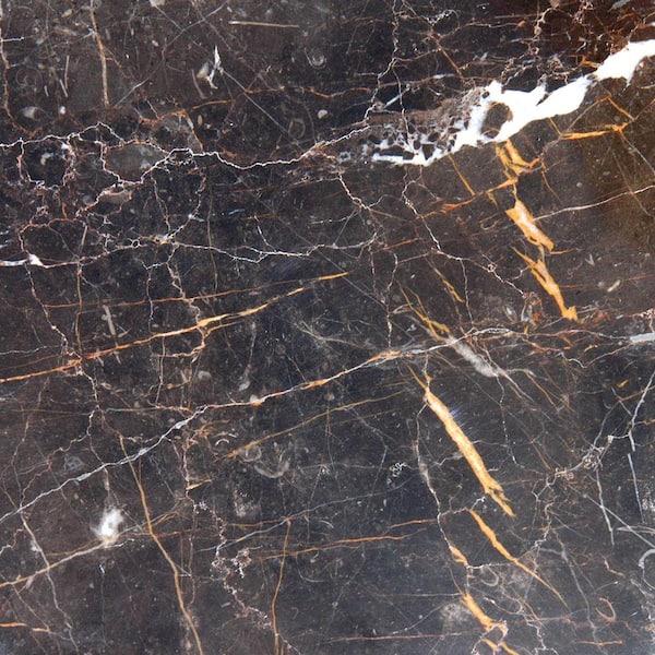 Polished Marble Floor And Wall Tile 5, Brown Marble Tile