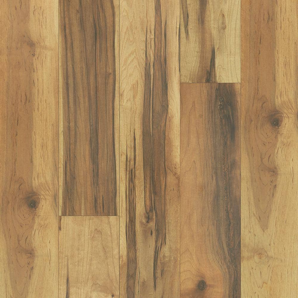 Pergo Take Home Sample - Outlast+ Natural Spalted Maple Laminate Flooring 5 in. x 7 in., Medium