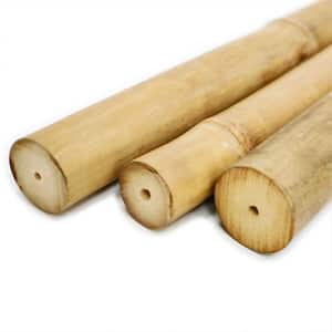 90 in. L Solid Bamboo Poles for Structural Design and Weight-bearing Support (6-Pack)
