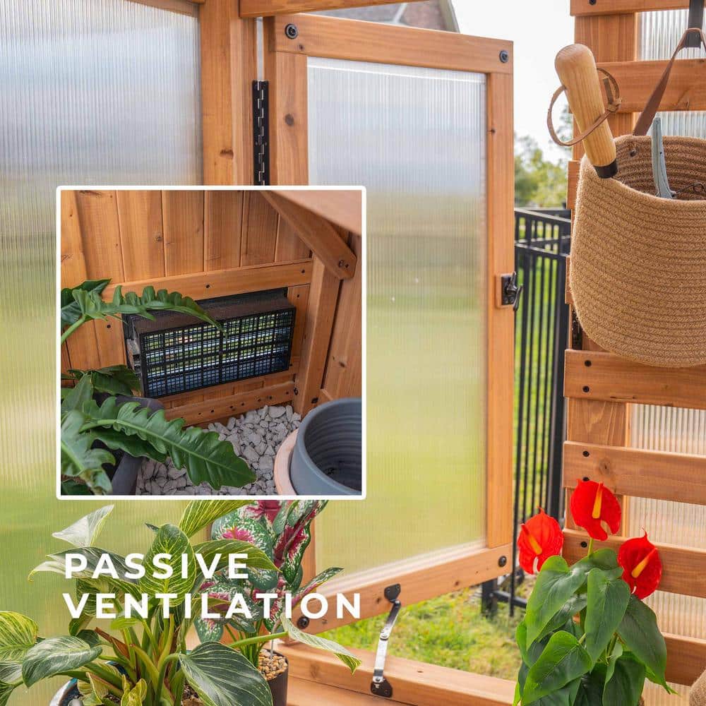 Willow 9 x 6 Wooden Polycarbonate Greenhouse