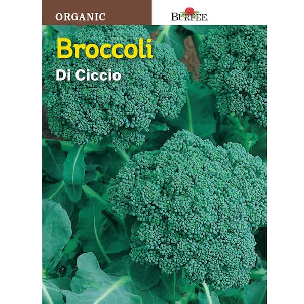 Broccoli Di Cicco Organic Seed