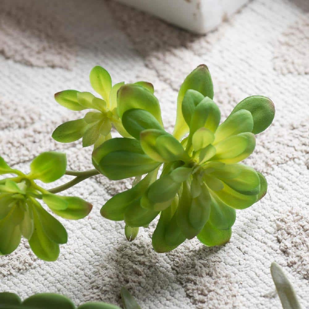 Set of 6 Green Faux Double Dudleya Succulents