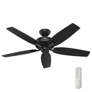 Newsome 52 in. Indoor/Outdoor Matte Black Ceiling Fan with Remote