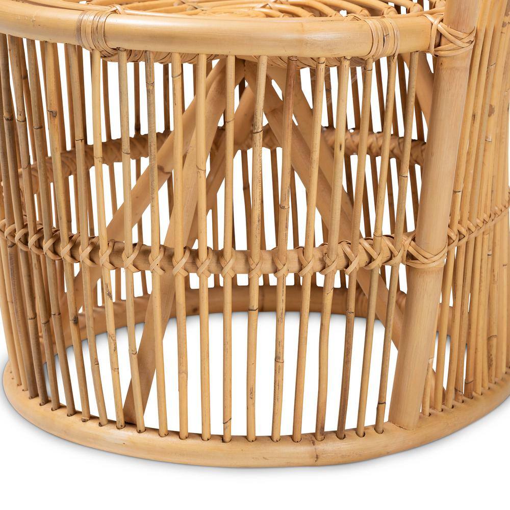 Narva 25" Brown Leather and Rattan Handcrafted Accent Chair