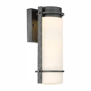 Aldridge 13.5 in. Weathered Iron Integrated LED Outdoor Line Voltage Wall Sconce