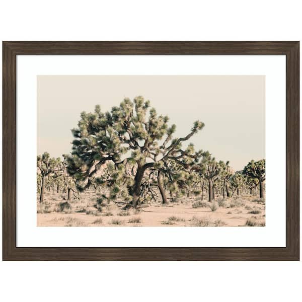 Woodgrain "Joshua Tree No. 1" by Alicia Bock Landscape Framed Art Print 19 in. x 26 in.