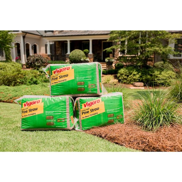 Premium Long Leaf Bagged Pine Straw Premium Long Leaf Bagged Pine Straw