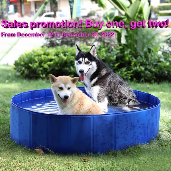 what type of pool is best for dogs