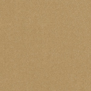 Blakely II - Wheat - Brown 52 oz High Performance Polyester Texture Installed Carpet