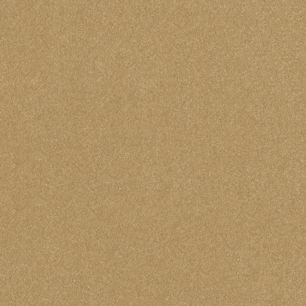 Lifeproof Blakely II - Wheat-Brown 15 ft. 52 oz. High Performance Polyester Texture Installed Carpet