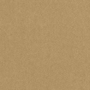 Blakely I - Wheat-Brown 12 ft. 37 oz. Polyester Texture Installed Carpet