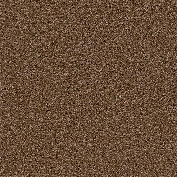 TrafficMaster Happy Chance  - Chipper - Brown 30 oz. SD Polyester Texture Installed Carpet