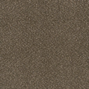 Dream Wish - Vision - Gray 32 oz. SD Polyester Texture Installed Carpet