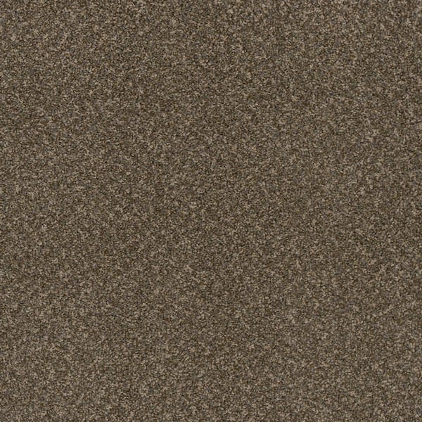 Dream Wish - Vision - Gray 32 oz. SD Polyester Texture Installed Carpet