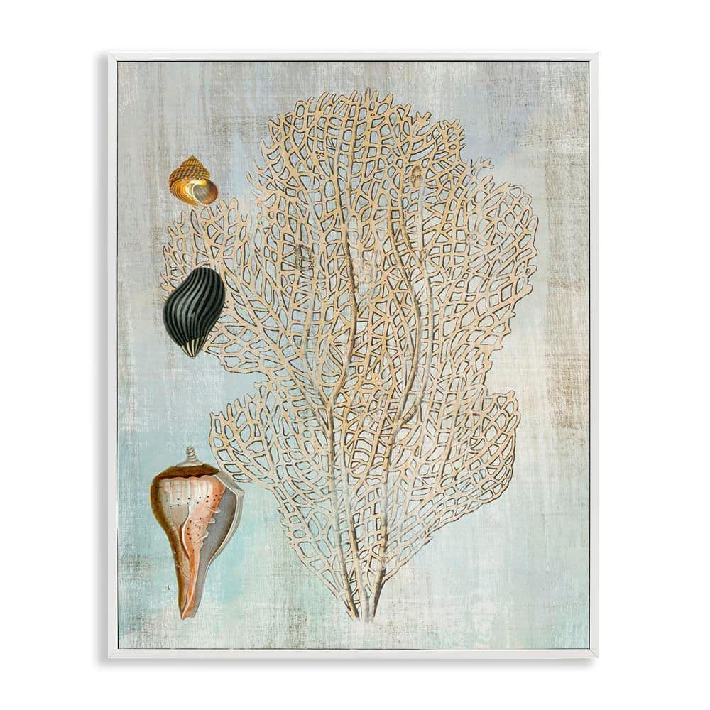 Detailed Coral and Seashells by Susan Arnot White Framed Animal Giclee Art Print 20 in. x 16 in. price history on PriceWatchPro