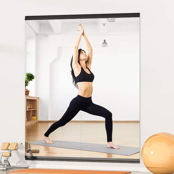 Vosuja 2 Pieces 17 in. W x 55 in. H Black Rectangle Frameless Wall