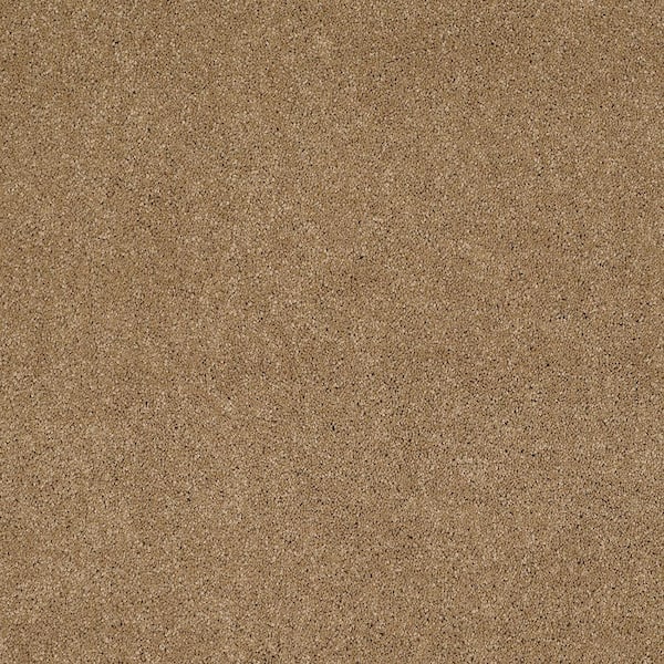 Lifeproof Coral Reef I - Burnwood - Brown 65.5 oz. Nylon Texture Installed Carpet