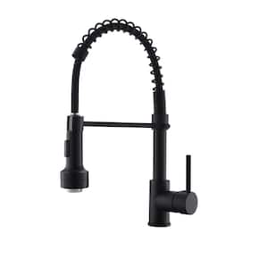 Stainless Steel Faucet Black Single-Handle Faucet Pull-Down Sprayer Kitchen Faucet