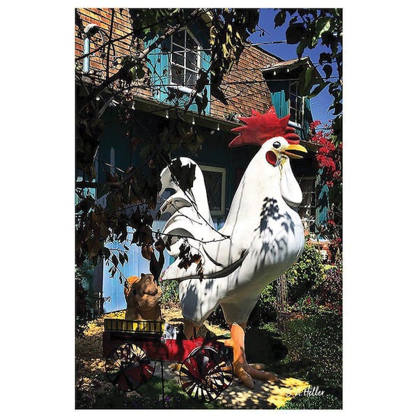 VENICE BEACH Collections Lawn Chicken by Steven A. Heller 1-Piece Unframed Canvas Drawing Print 16 in. x 20 in.