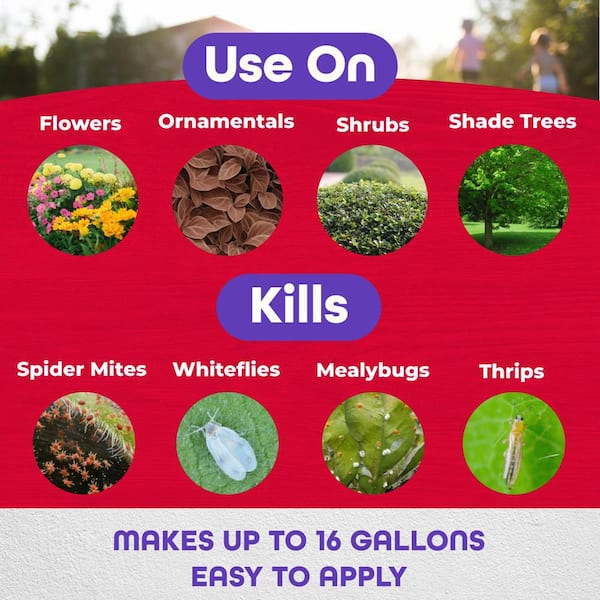 Systemic Insect Control, 16 oz. Concentrate Long Lasting Insecticide for Outdoor Gardening, Makes 16 Gallons
