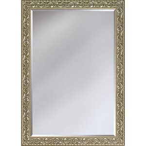 25.5 in. W x 35.5 in. H Rectangle Wood Rococo Framed Silver Decorative Mirror