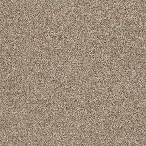 Karma I - Smoky Suede - Brown 41.2 oz. Nylon Texture Installed Carpet