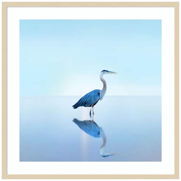 Amanti Art "Beachscape Heron II" by James McLoughlin 1 Piece Wood Framed Color Animal Photography Wall Art 33-in. x 33-in. .