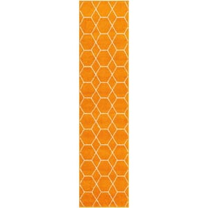 Trellis Frieze Orange/Ivory 2 ft. x 8 ft. Geometric Runner Rug