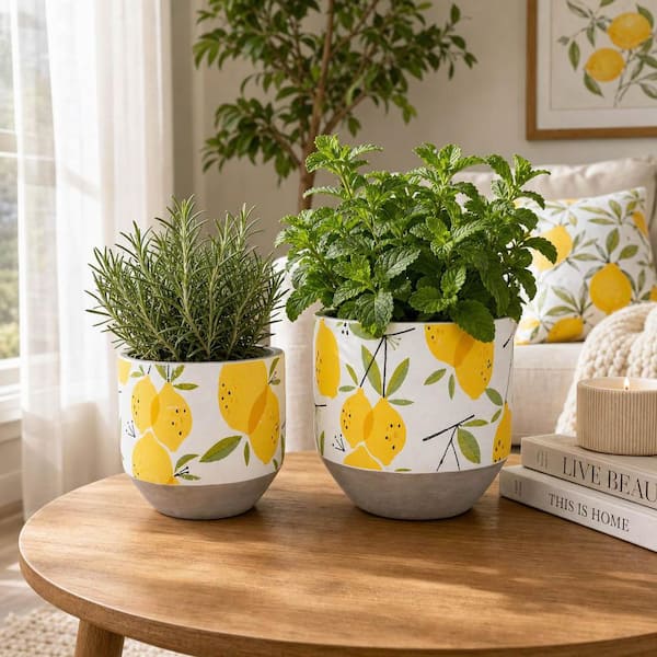 design flower pot 6 植木鉢 Liv & Skye 6 in. and 7 in. Yellow Ceramic Growing Lemons