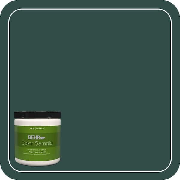 BEHR PREMIUM PLUS 8 oz. #ECC-51-3 Hidden Forest Semi-Gloss Interior/Exterior Paint & Primer Color Sample