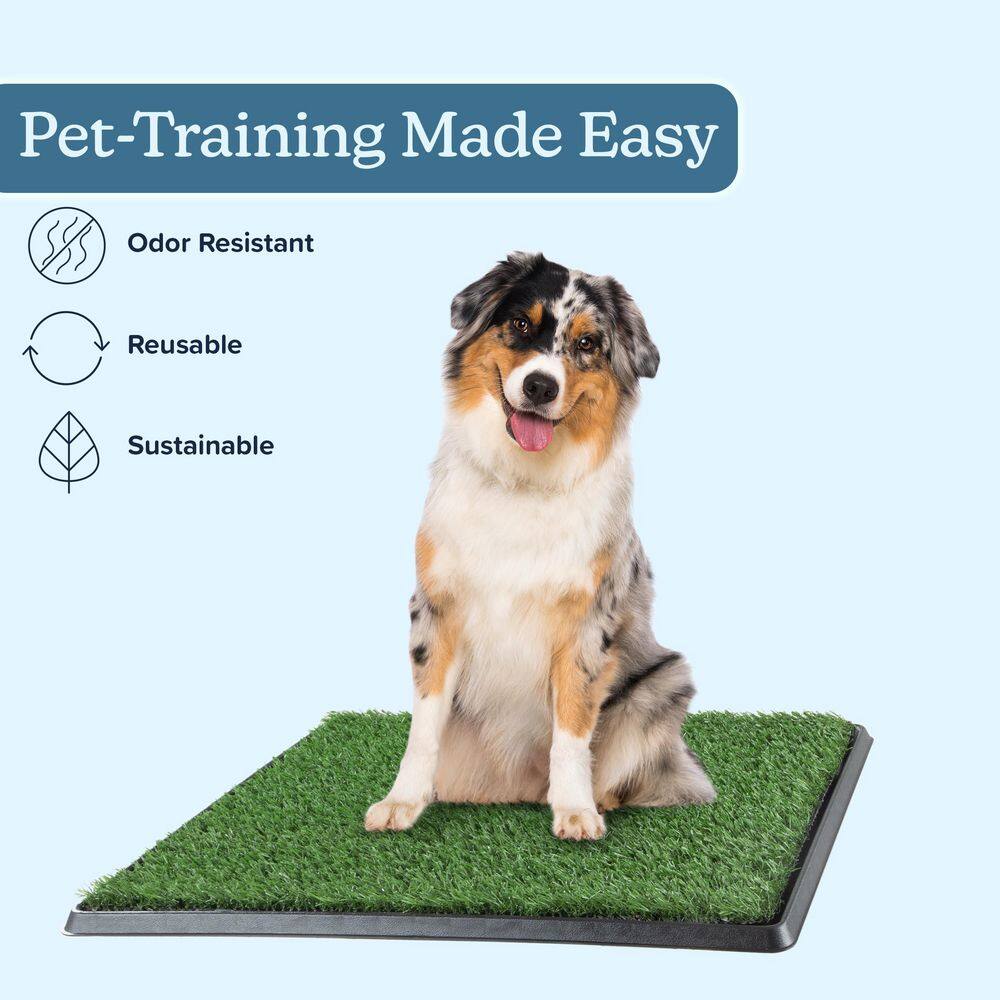Medium Artificial Grass Puppy Potty Trainer with Tray